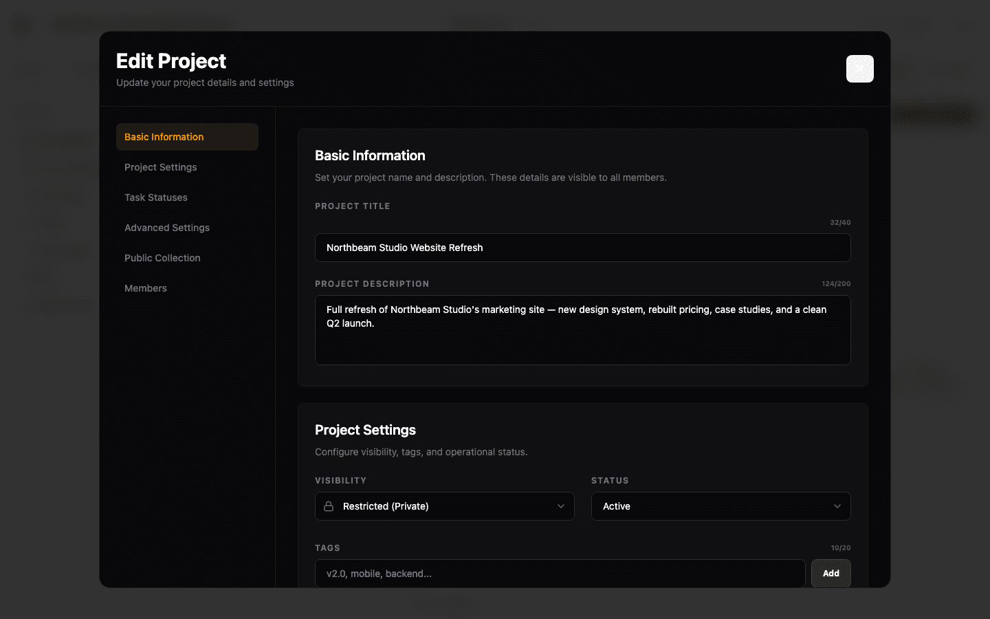 Project settings panel with visibility, status, and tag controls